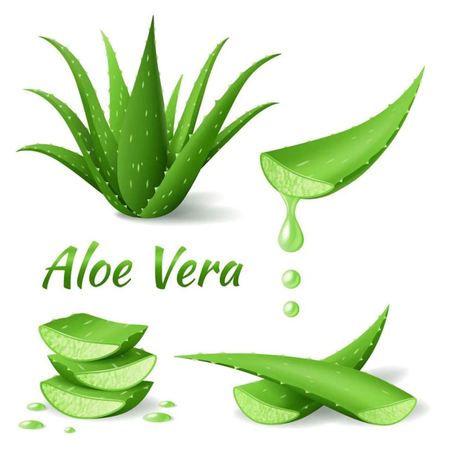 Hand Sanitizer With Aloe Vera - Professor Amos USA